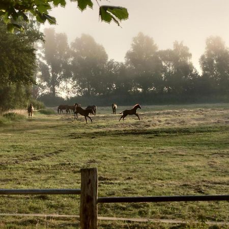 Kleenes Haffhus Ueckermünde Zewnętrze zdjęcie