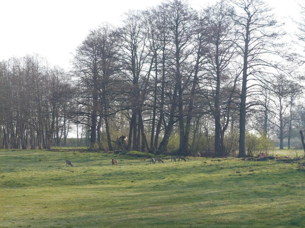 Kleenes Haffhus Ueckermünde Zewnętrze zdjęcie